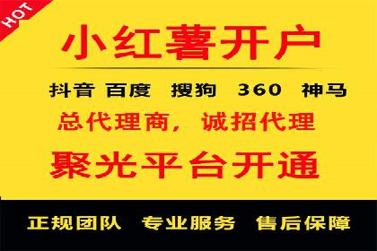 行业报告：专业SEM托管的成功实践与挑战